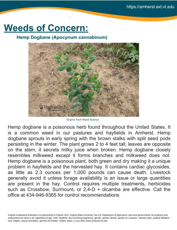Article about weeds of concern - Hemp Dogbane